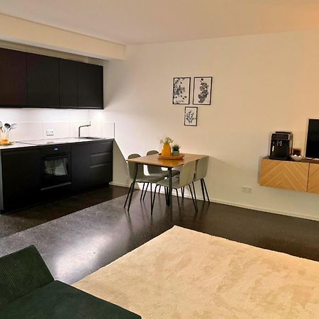 Isaak Apartment Stadtperle Waldshut-Tiengen Exteriör bild