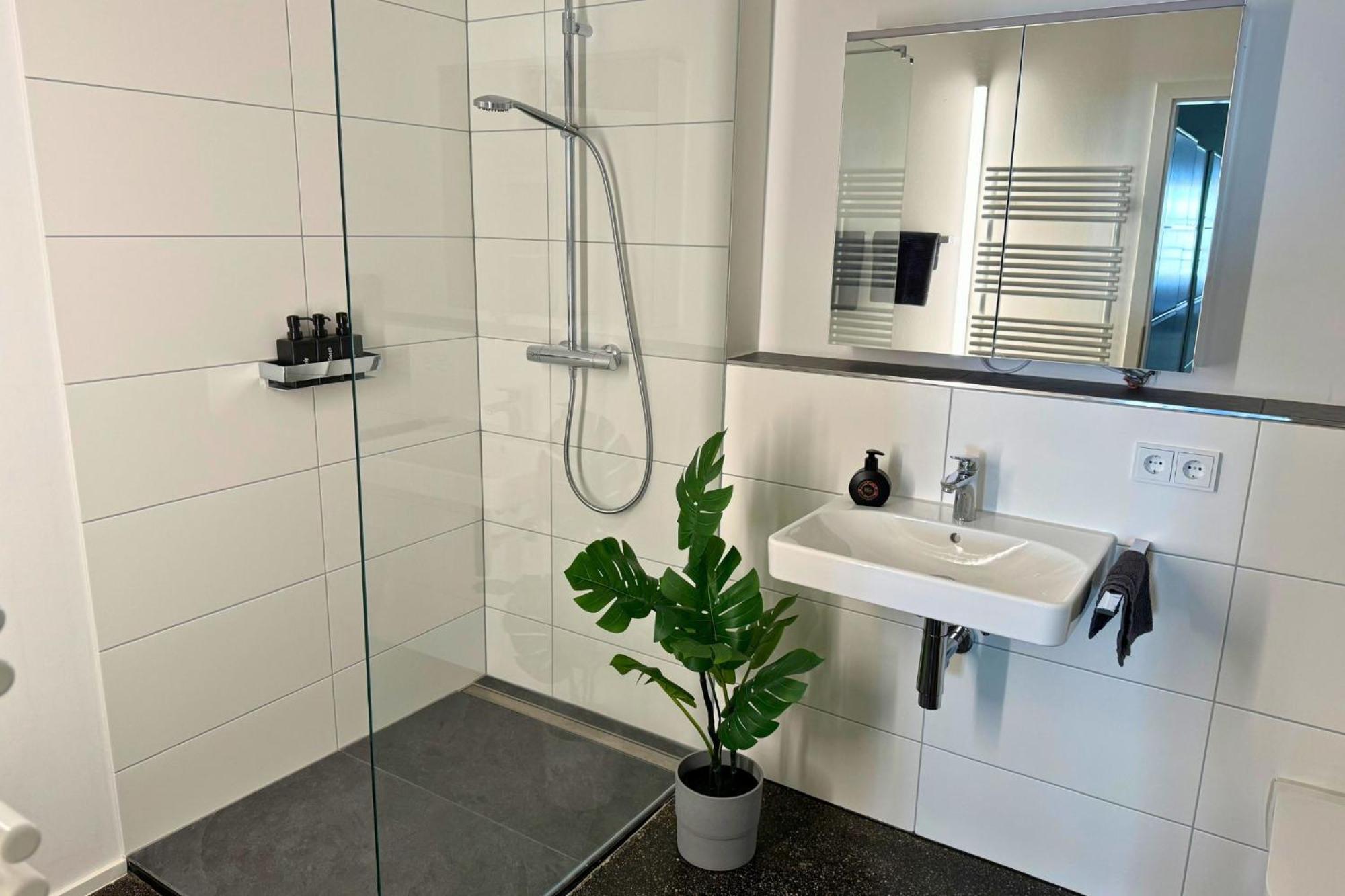 Isaak Apartment Stadtperle Waldshut-Tiengen Exteriör bild