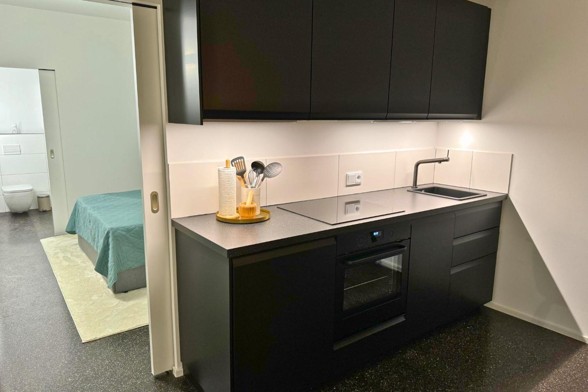 Isaak Apartment Stadtperle Waldshut-Tiengen Exteriör bild