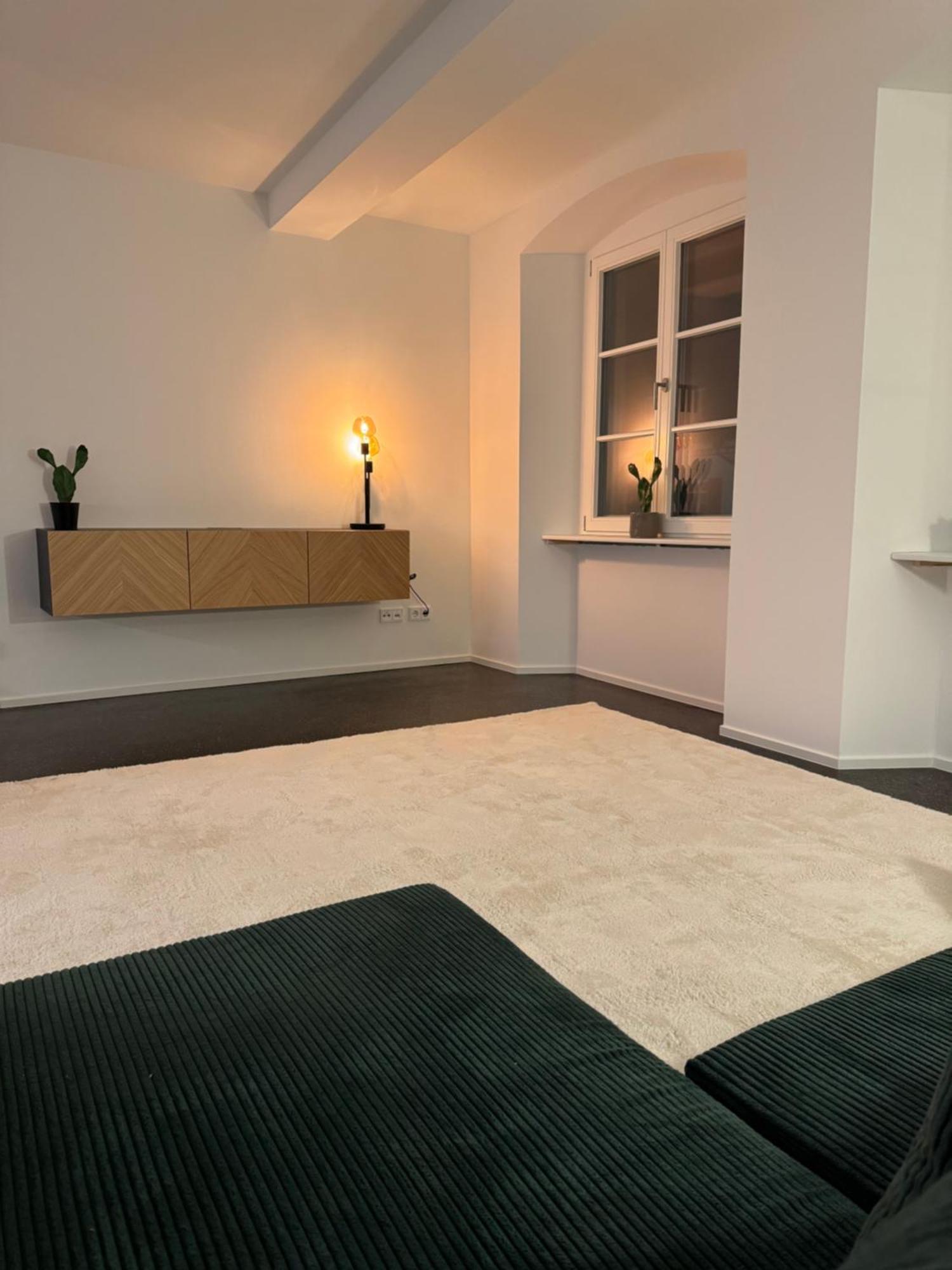 Isaak Apartment Stadtperle Waldshut-Tiengen Exteriör bild