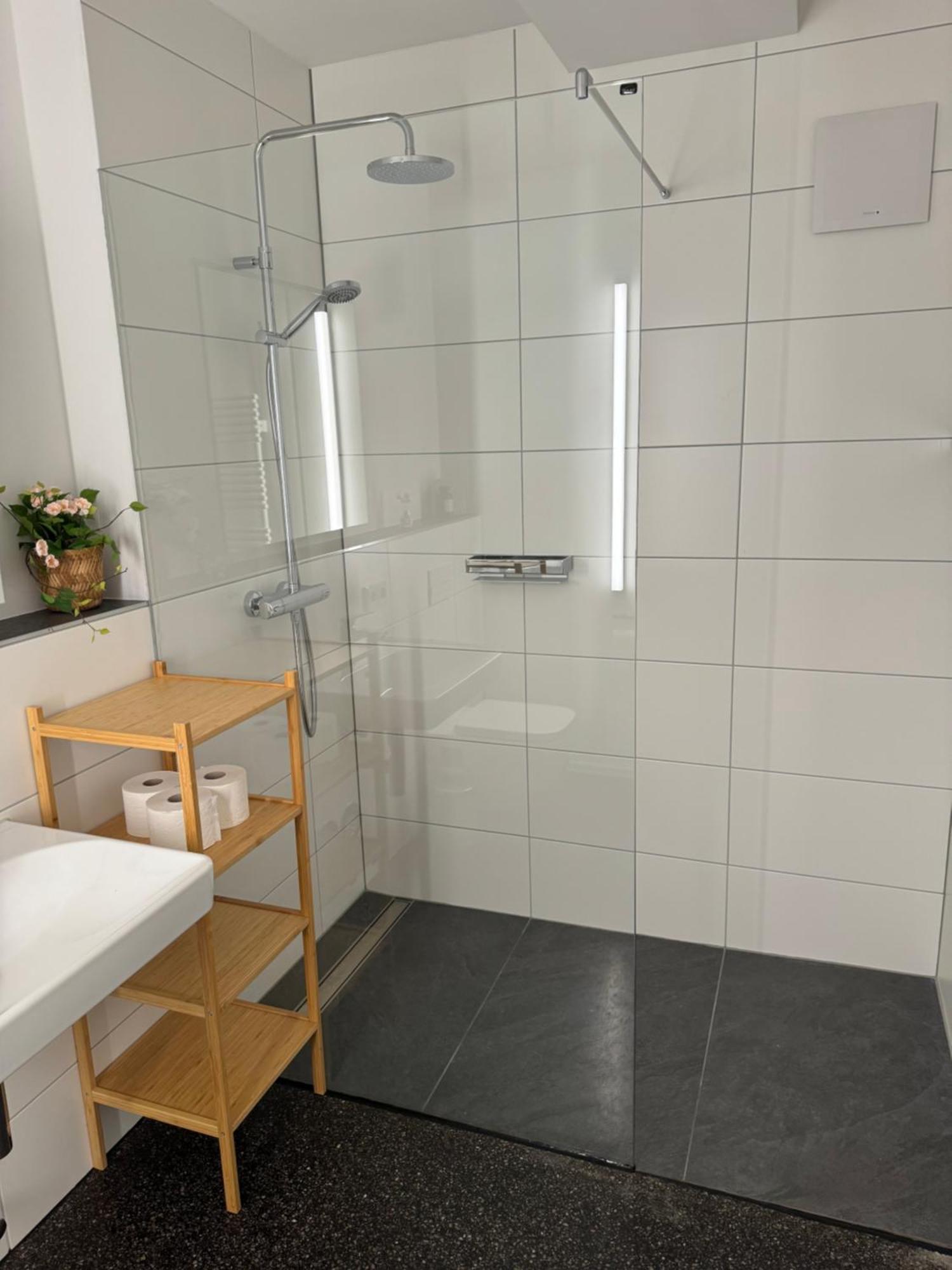 Isaak Apartment Stadtperle Waldshut-Tiengen Exteriör bild
