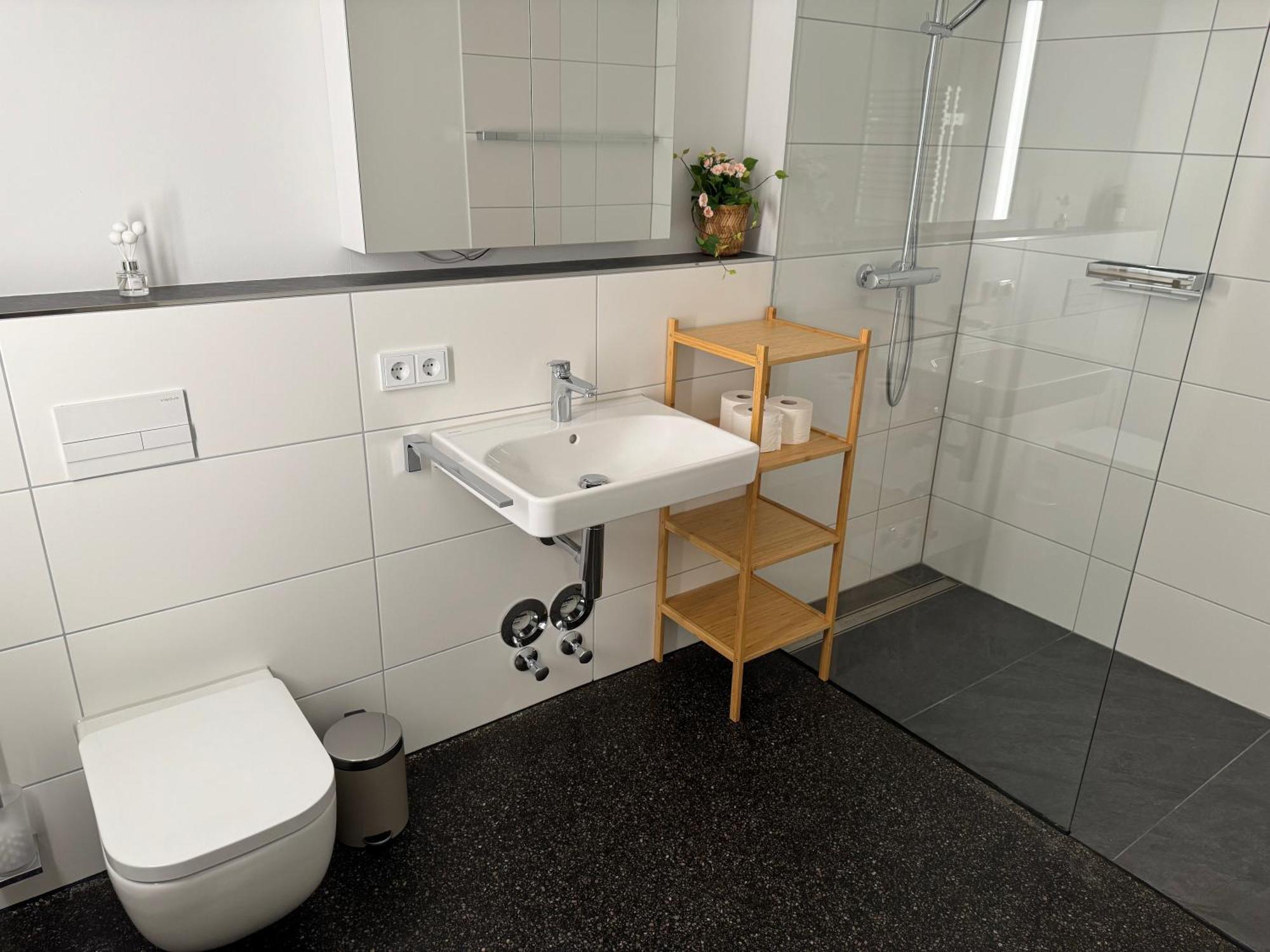 Isaak Apartment Stadtperle Waldshut-Tiengen Exteriör bild